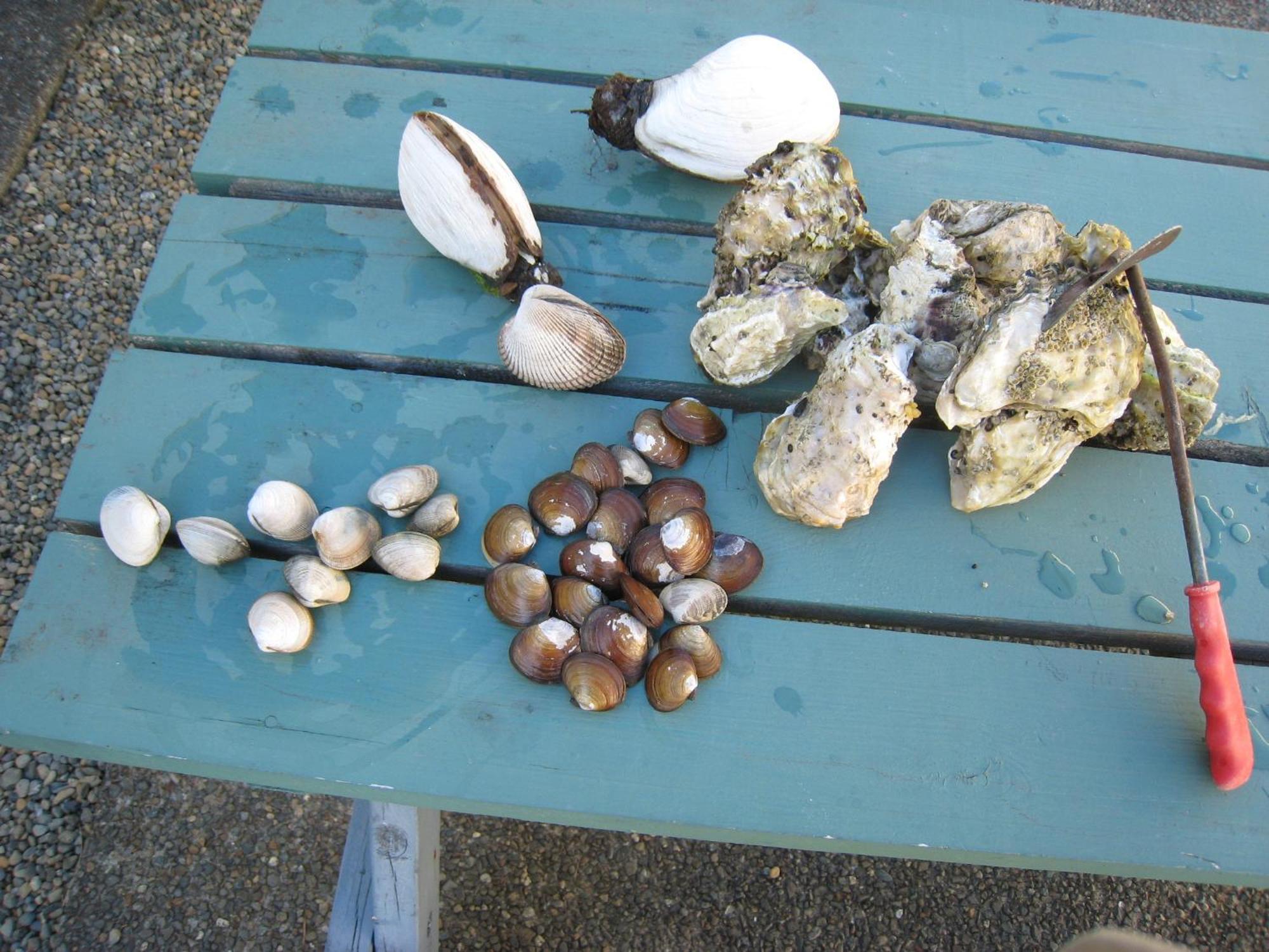 Riverside Resort Qualicum Beach Exterior foto